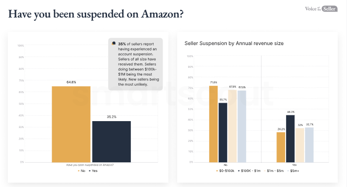 《2024亚马逊卖家之声》报告解读：谁能在2025亚马逊风暴中突围？关键看这三点能力